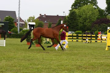 Bild 115 - Elmshorn am 9.6.10